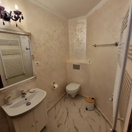 Vila Central 3* Констанца