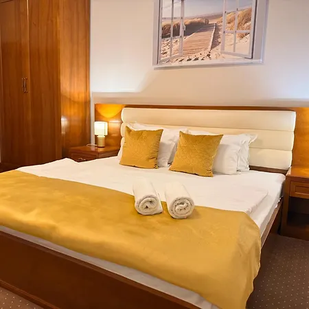 Pensiune Vila Central 3*