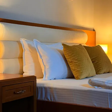 Vila Central Pensiune Constanţa