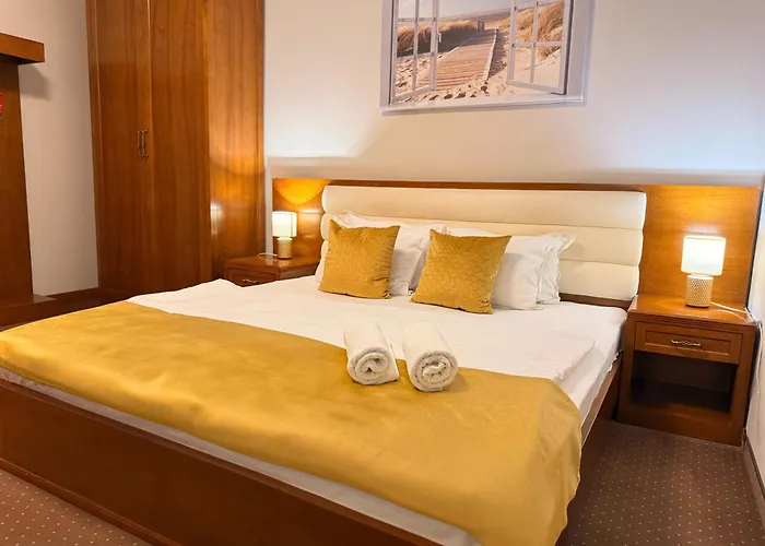 Pensjonat Vila Central 3*