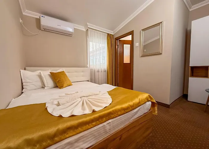 Vila Central Pensiune 3*